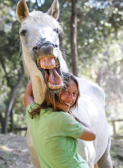 Centro Ecuestre Horseway - Equitación Conectada & Doma Natural en Argentona