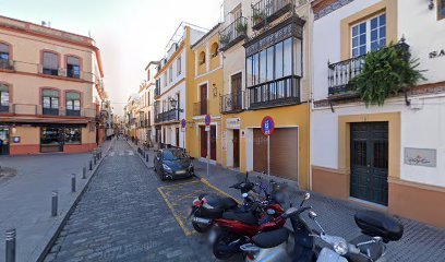 Adisevi Adiestramiento Cognitivo Emocional y Modificacion de Conductas en Sevilla