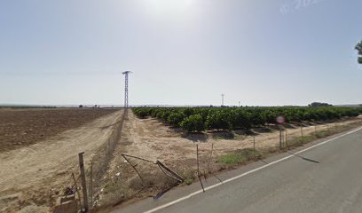 Al sielo equus en San Miguel de Salinas