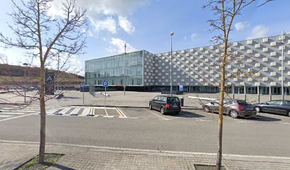 Fnh Federación Navarra de Hípica en Pamplona