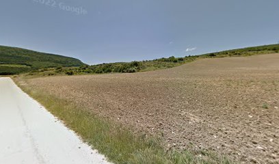 Camino a Biki Blasko en Aranguren