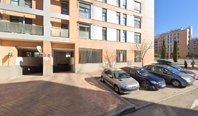 Dognitive en Madrid