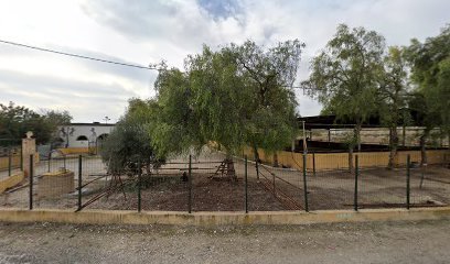 Club hipico el Estribo en Alguazas