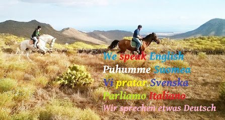 Tenerife Horse Riding en Granadilla