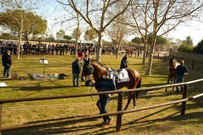 Circuit Hípic Torre d'en Dolça en Vila-seca