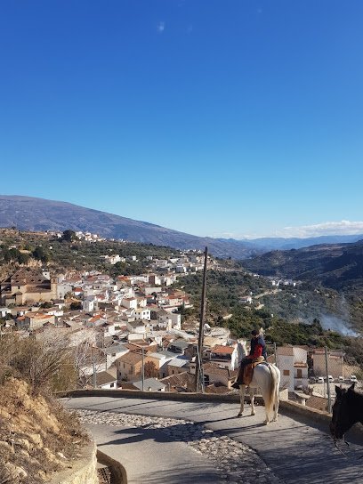 palmali rutas a caballo en Albuñuelas