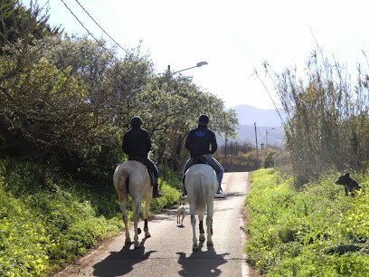 Centro Hípico San Mateo en Vega de San Mateo