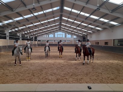 Centro ecuestre Zabolain en Mondragón