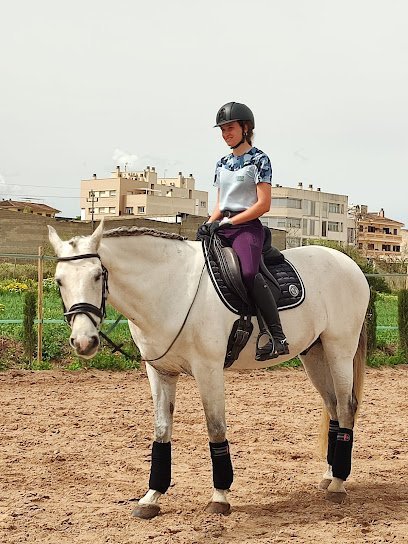 Escuela Equitación MQ Dressage en Manacor