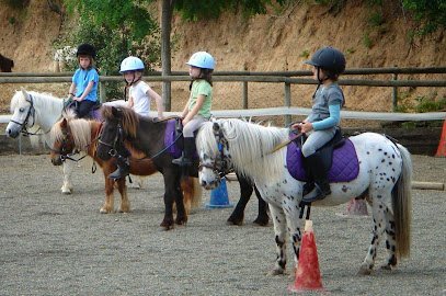 Centre d'Equitació Poni Club Catalunya (Barcelona Horse Tours) en Sant Just Desvern