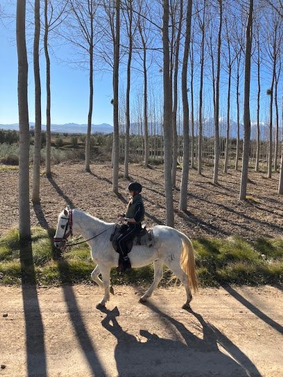 Campo alegre en Novallas