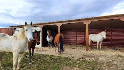 Eqquality Animal en Medina de Pomar