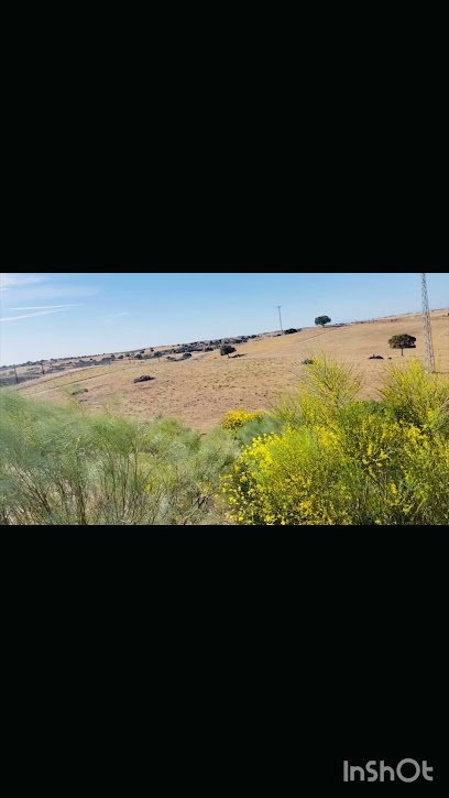 Hípica Ruta de la Plata en Casar de Cáceres