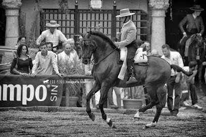 Escuela de Equitación Antonio Osuna en Córdoba