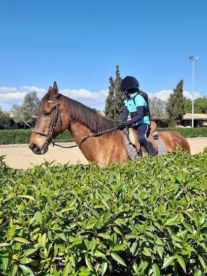 equitec balear en Palma