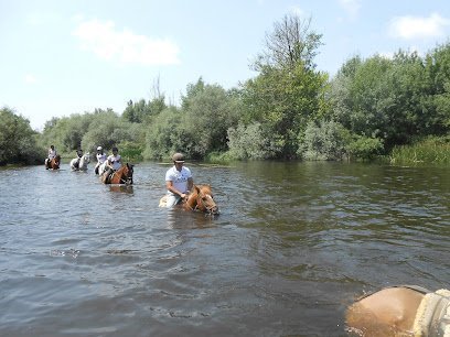 Los Caballos de la Ribera en Huerta