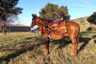 Club Hipico The Paddock en Casinos