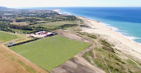 Argentina Polo Academy Europe en Zahora