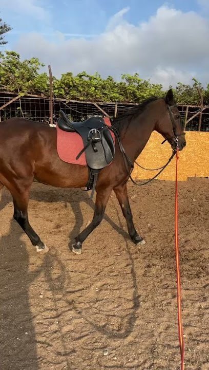 Melilla a Caballo en Melilla