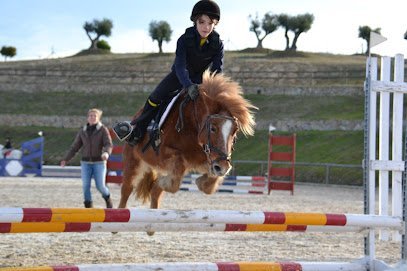 Hípica Villaviciosa en Villaviciosa de Odón