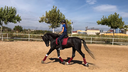 Club Hípico Yeguada Andrés Molina en Yunquera de Henares