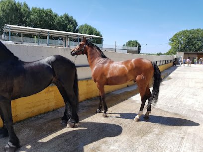 Hípica Equus en Camponaraya