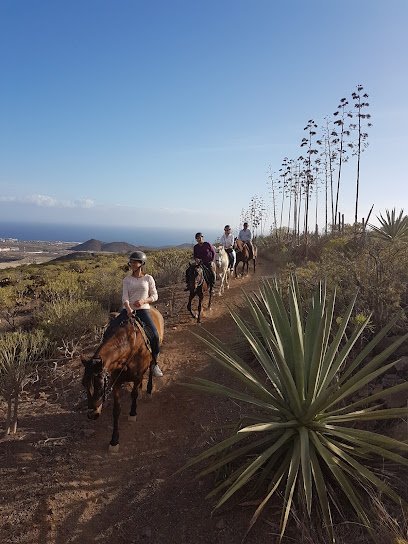 Horse Riding Adventures in Tenerife en Aldea Blanca