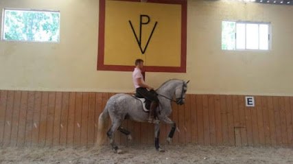 Centro ecuestre Vega del Pinar en Cistérniga
