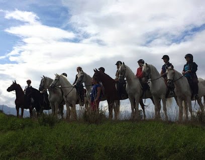 Centro Ecuestre Víctor López en Alhaurín de la Torre