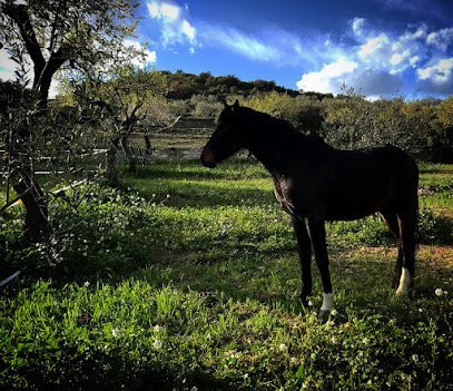 Centre Eqüestre La Noguera en Abella de la Conca