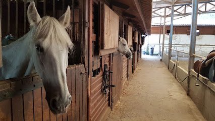 Hipica Appalaoosa en Pontevedra