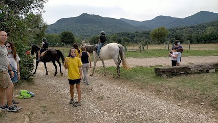 Passejades a Cavall Mas Falgàs en Mieres