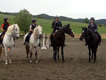 Equicentre Urgell-Pirineus SL en La Seu d'Urgell