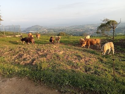 Rutas a caballo y paseos en pony Allende en Santillana del Mar