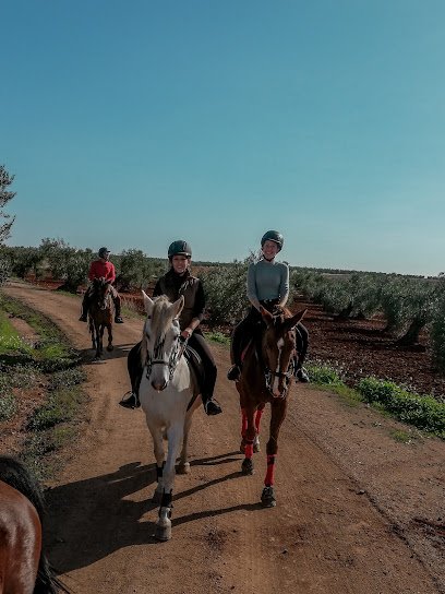 Centro Hípico San Marcos en Almendralejo