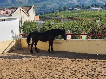 Asociación hípica El horno en Cieza