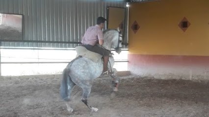 Escuela de Equitación Mateo Sequera en Andújar