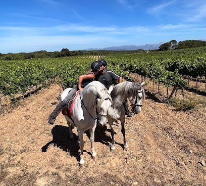 Mallorca Horses en Algaida