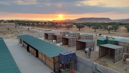 Centro Hípico De Luz en Torres de la Alameda