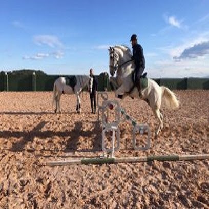 Field And Horse en Liria