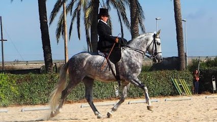 Laura Sánchez.Equitación en silla de cornetas en Albacete