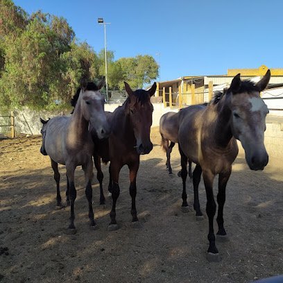 Club Hípico Guadaíra en Alcalá de Guadaíra