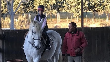 Hipica El Arreón en Colmenar Viejo