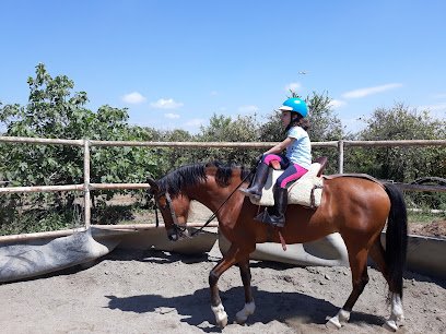 Centro Ecuestre Las Yeguas en Santa Amalia