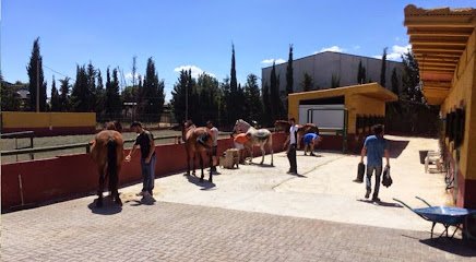 Asociación Ecuestre La Querencia en Santomera