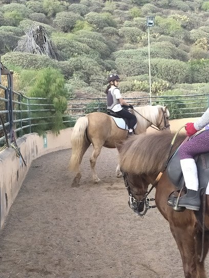 Centro Hípico Hipovet Canarias ( Club del Pony ) en La Matanza