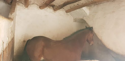 Les Aques Del Victor en Lorcha