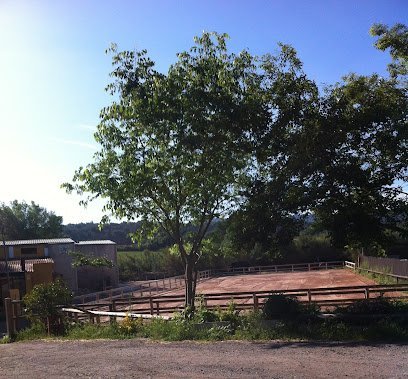 Club Hipic Laura Durbà - Centre de Doma Clàssica en Sant Cugat del Vallès