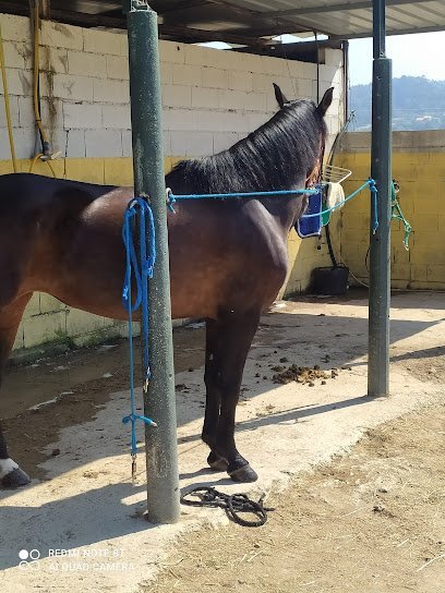 Hípica Ares en A Laxe