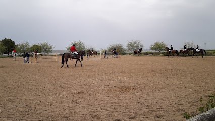 Club Hipico Monfragüe en Cáceres